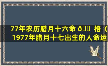 77年农历腊月十六命 🐠 格（1977年腊月十七出生的人命运如何）